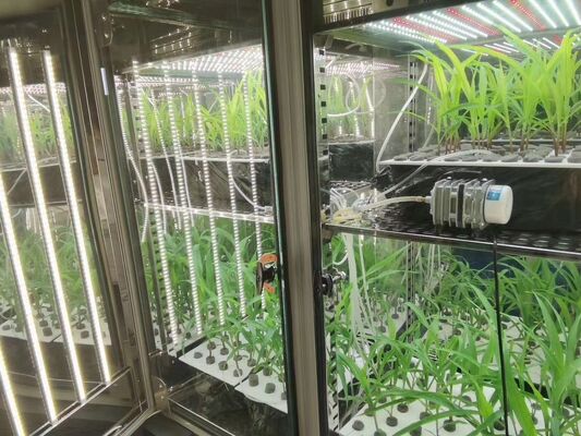 Εργαστήριο Ανάπτυξης Φυτών Liyi Τεχνητό Κλίμα Μηχανή Βλαστικής Σπόρων Μηχανή Ενσωματωτή Φυτικής Ανάπτυξης